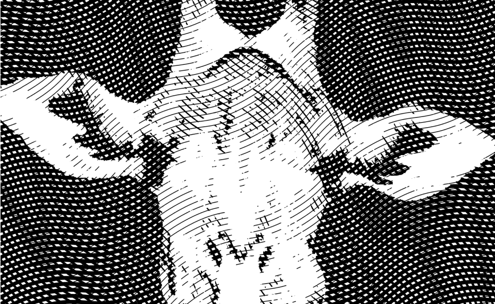 Motifs du cabinet Cab'OLIO