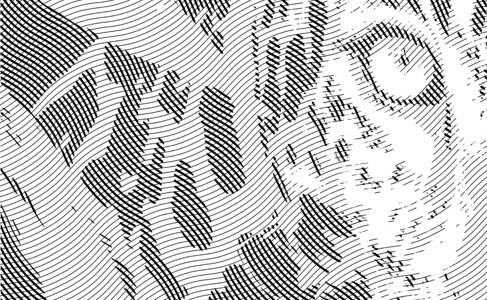 Motifs du cabinet Cab'OLIO à Lille